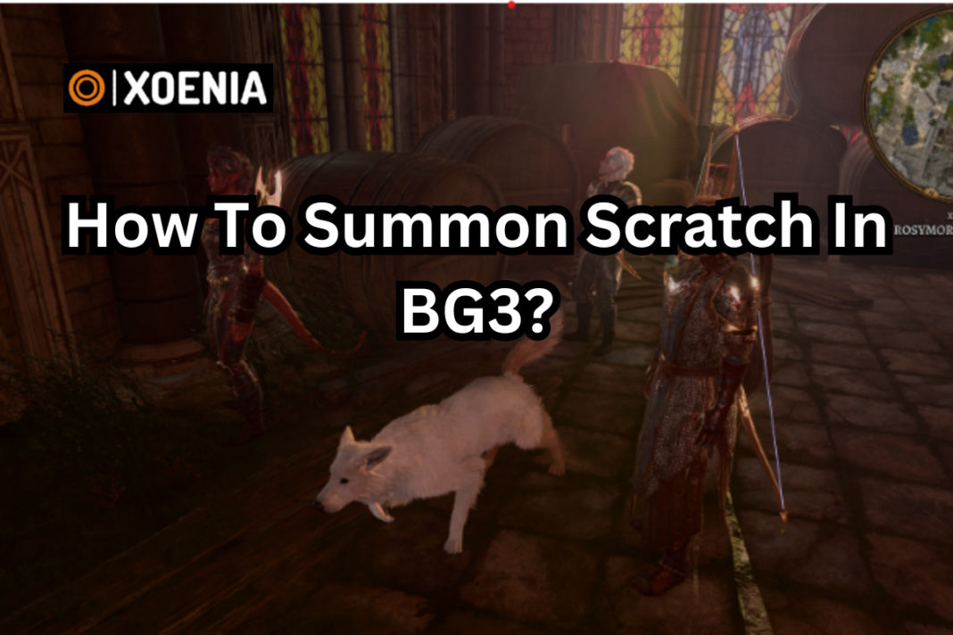 How To Summon Scratch In BG3 Xoenia   Add A Heading 8 1 1068x712 