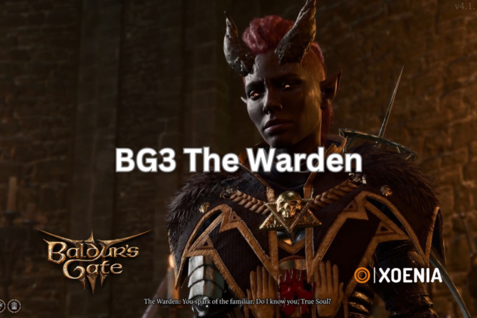 bg3 the warden