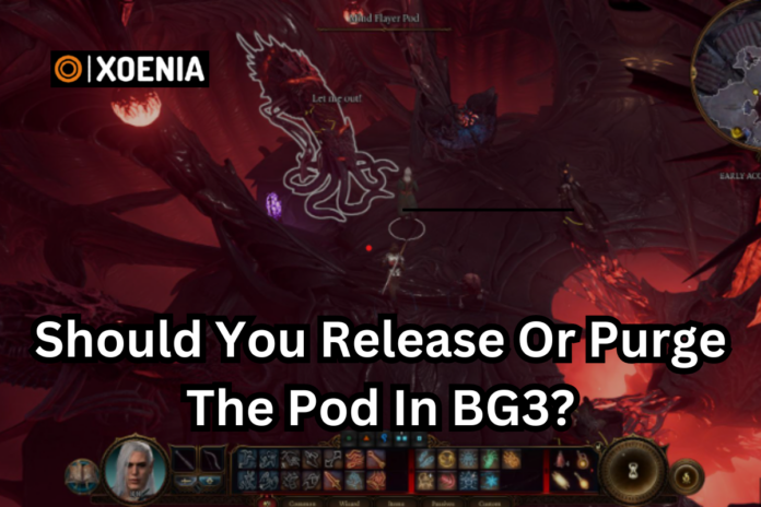 Should You Release Or Purge The Pod In BG3?
